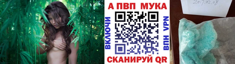 A PVP СК Свирск