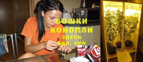 мескалин Покачи