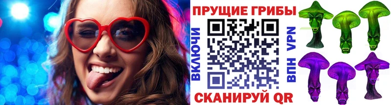 купить наркотики цена  Свирск  Псилоцибиновые грибы Magic Shrooms 
